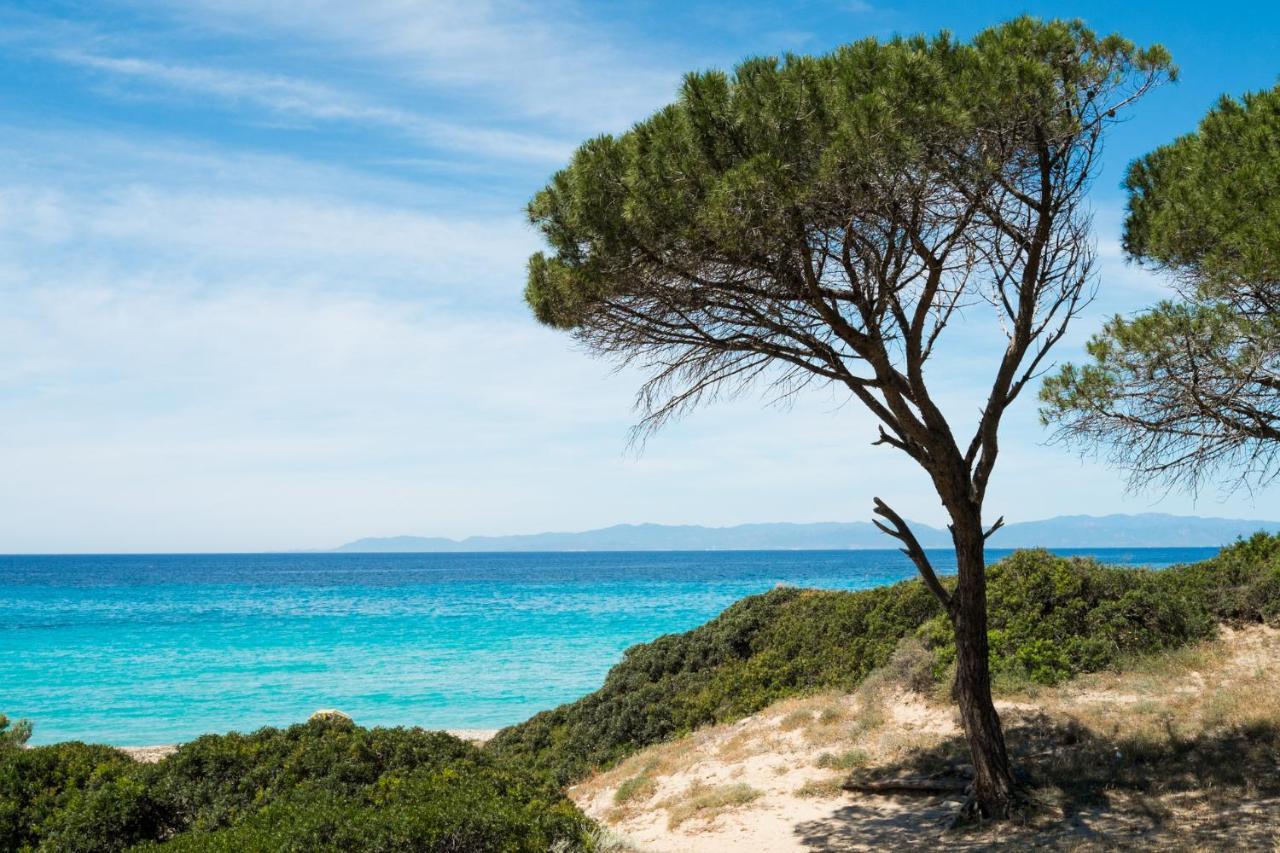 Appartamento Con Vista Mare A Terramala Terra Mala 外观 照片